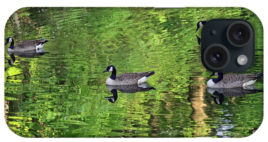 Geese iPhone Case featuring the photograph Geese on Green Pond by Karen Adams
