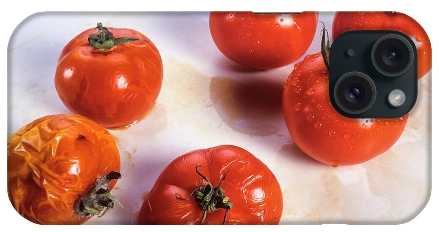 Genetic Engineering iPhone Case featuring the photograph Genetically Engineered Tomatoes by Martyn F. Chillmaid/science Photo Library