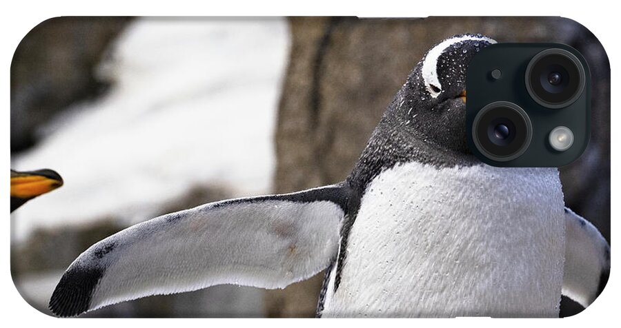 Penguin iPhone Case featuring the photograph Gentoo Penguin by Catherine Reading