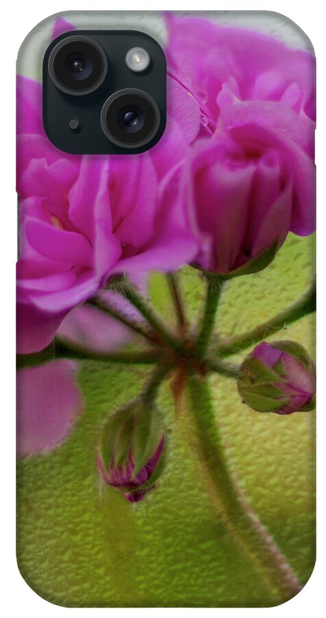 Geranium iPhone Case featuring the photograph Geranium Rain by Diane Fifield