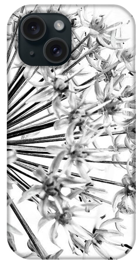 Black And White iPhone Case featuring the photograph Giant Alium by Winnie Chrzanowski