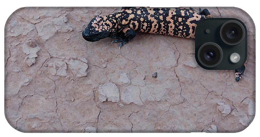 Climate iPhone Case featuring the photograph Gila Monster by Colbyjoe