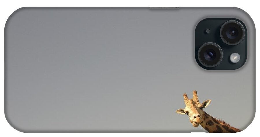 Animal Themes iPhone Case featuring the photograph Giraffe With Sky by Image By Jason Bouwman