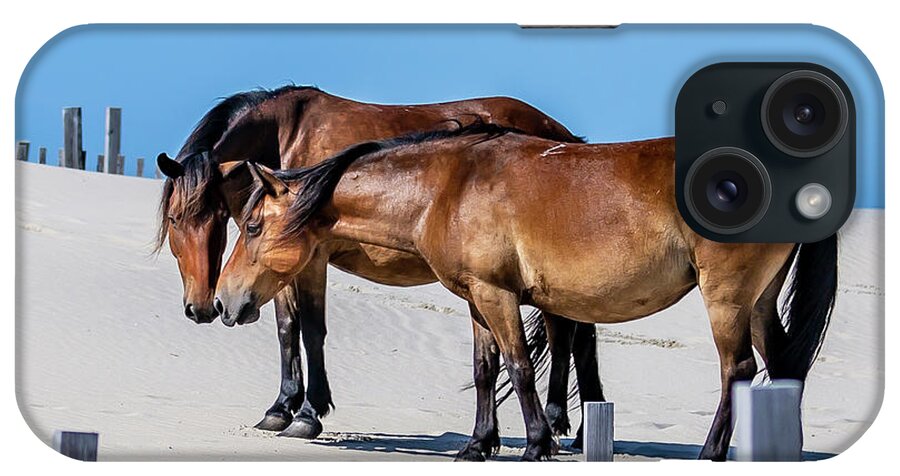Animals iPhone Case featuring the photograph Girl Talk 2 by Donna Twiford