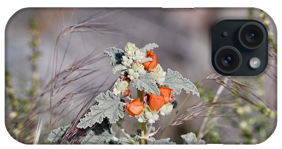Emory's iPhone Case featuring the photograph Globemallow by Sonja Jones