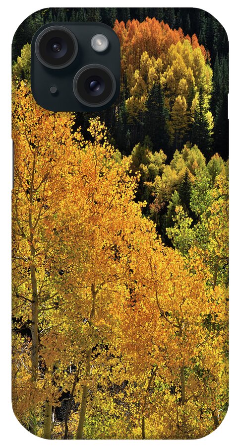 Cclorado iPhone Case featuring the photograph Glowing Aspens along Highway 550 by Ray Mathis