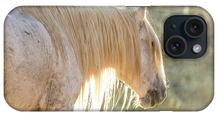 Wild Horse iPhone Case featuring the photograph Glowing by Mary Hone