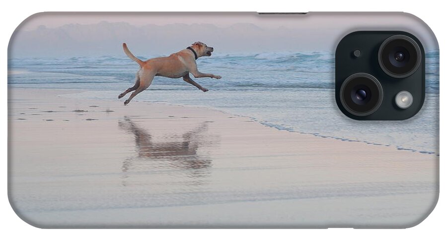 Animal Themes iPhone Case featuring the photograph Go Fetch by Nadine Swart