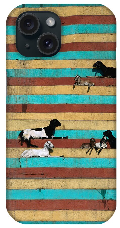 Steps iPhone Case featuring the photograph Goats Resting On The Tulsi Ghats by Anders Blomqvist