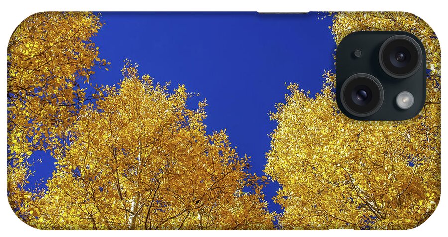 Arizona iPhone Case featuring the photograph Golden Aspens and Blue Skies by Dawn Richards