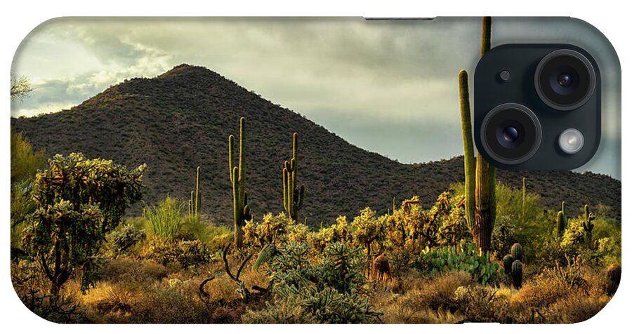 Saguaro Sunset iPhone Case featuring the photograph Golden Desert Light by Saija Lehtonen