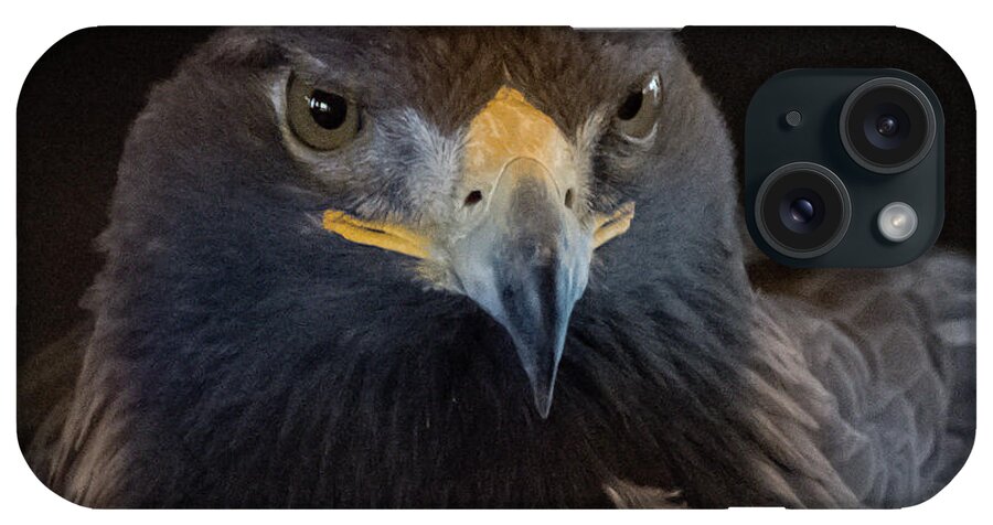 Eagle iPhone Case featuring the photograph Golden Eagle I by Al Griffin