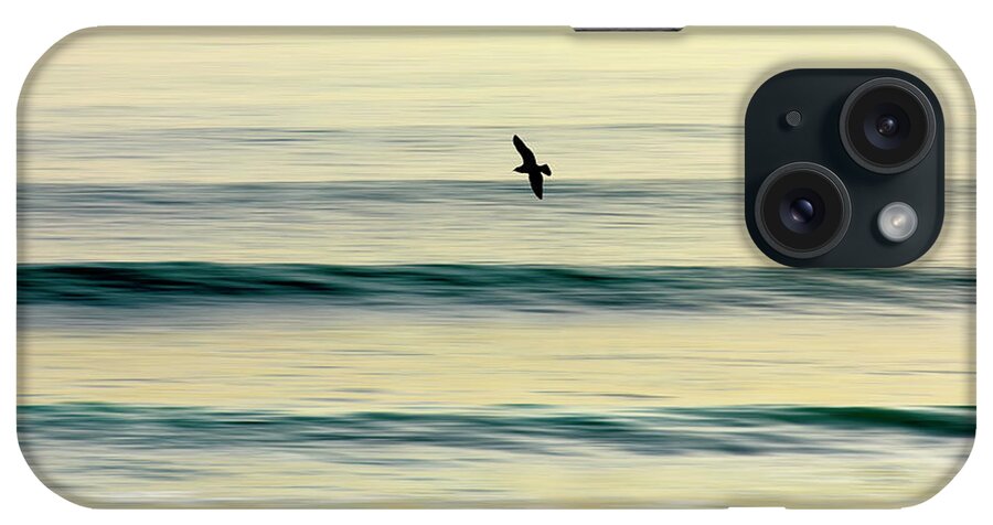 Bird iPhone Case featuring the photograph Golden Glide by Sean Davey