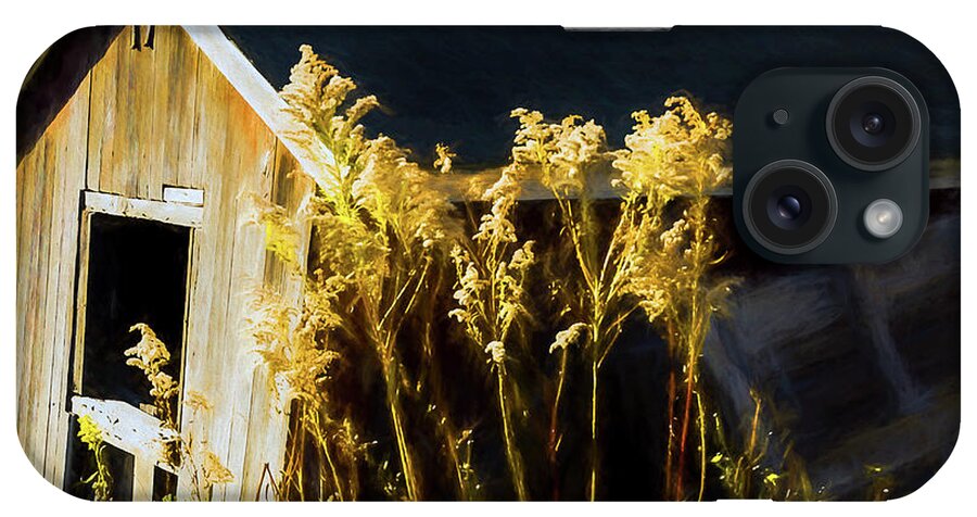 Golden Rods Along Abandon Barn Autumn iPhone Case featuring the photograph Golden Rods Along Abandon Barn Autumn by Anthony Paladino