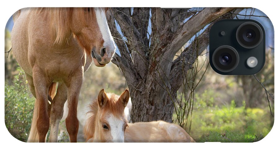 Wild Horses iPhone Case featuring the photograph Good mama by Mary Hone