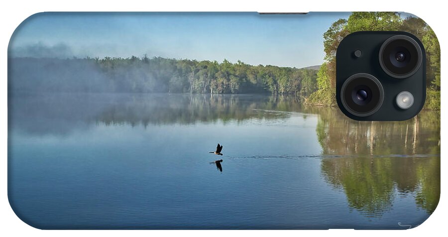 Goose Takeoff iPhone Case featuring the photograph Goose Takeoff by Meta Gatschenberger