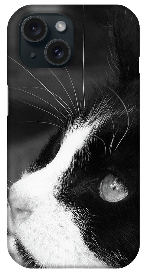 Gorgeous iPhone Case featuring the photograph Gorgeous in Profile by Sandra Dalton