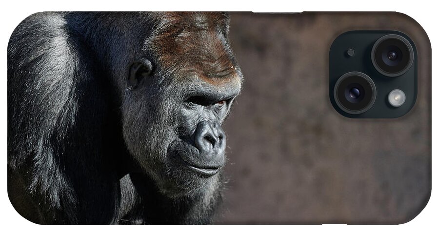 Gorillas iPhone Case featuring the photograph Gorilla by Robert WK Clark