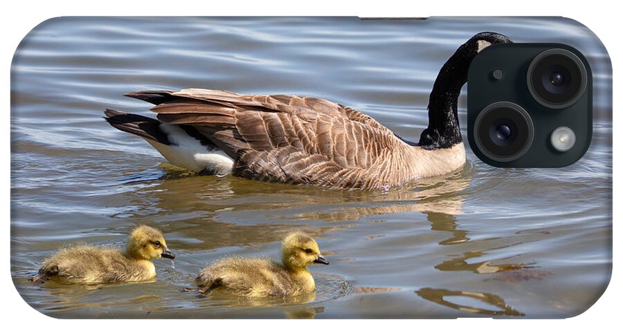 Photography iPhone Case featuring the photograph Goslings swimming with Parent by Alma Danison