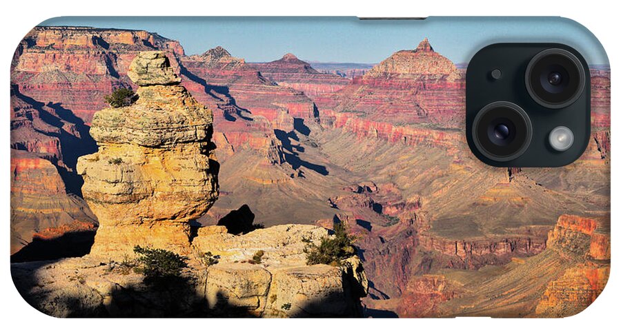 Grand Canyon iPhone Case featuring the photograph Grand Canyon Duck on a Rock by Chance Kafka