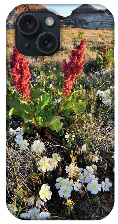 Ruby Mountain iPhone Case featuring the photograph Grand Junction Wildflowers by Ray Mathis