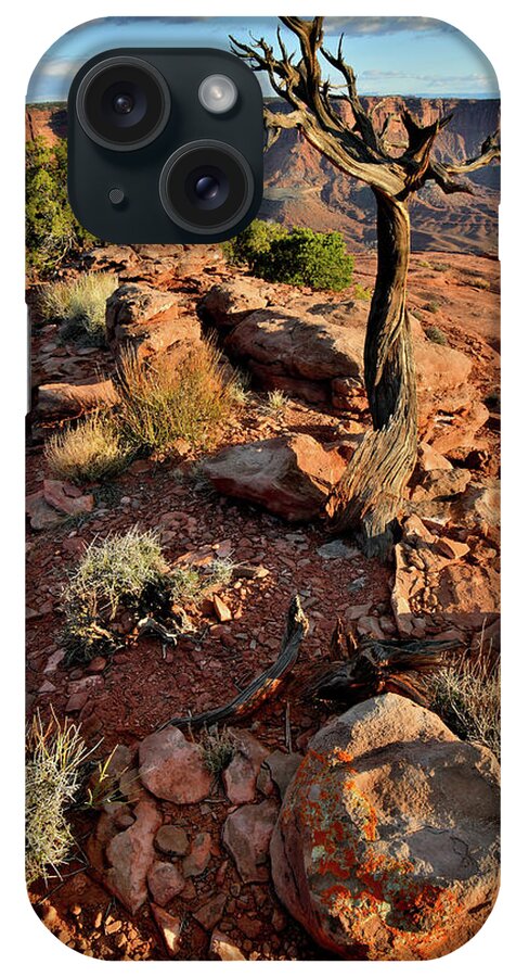 Canyonlands National Park iPhone Case featuring the photograph Grand View Point from Green River Overlook by Ray Mathis