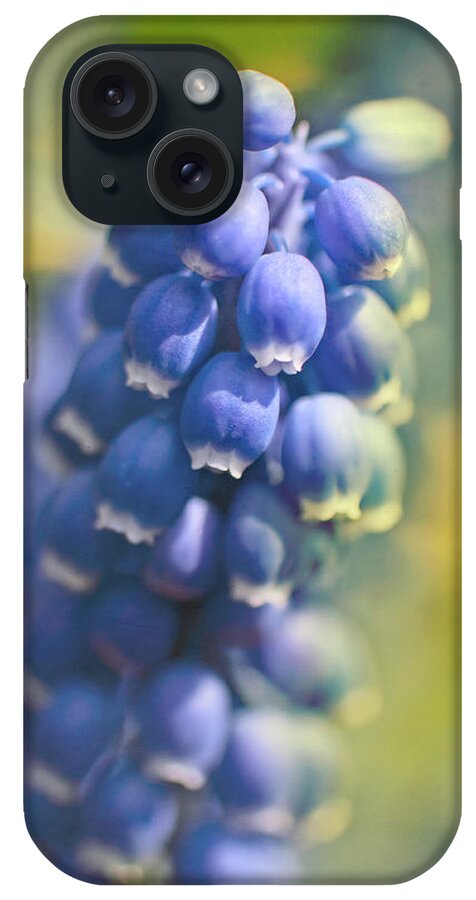 Bunch iPhone Case featuring the photograph Grape Hyacinths In Spring by Trina Dopp Photography