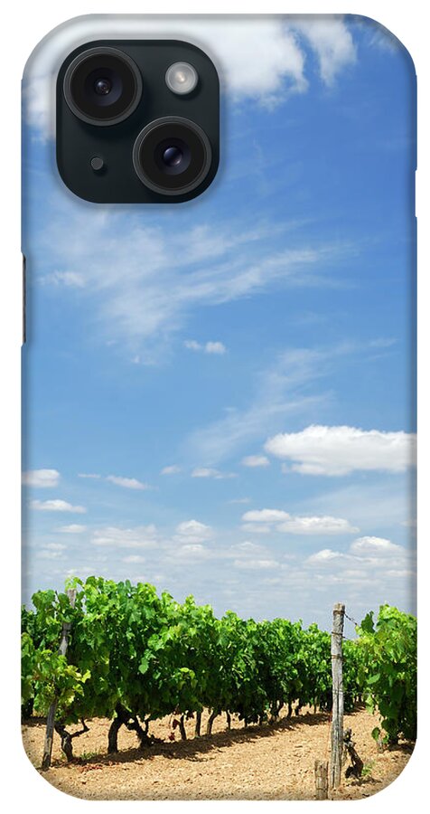 Charente iPhone Case featuring the photograph Grape Vines In A Vineyard Near Cognac by Petegar