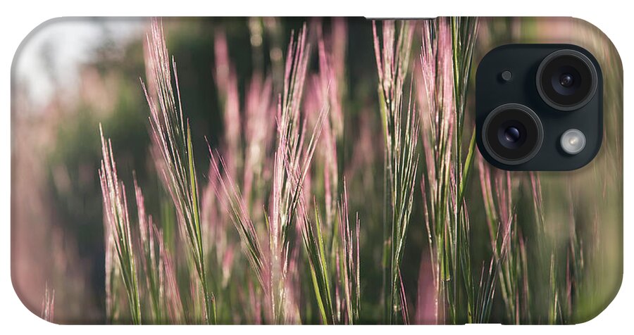 National Park iPhone Case featuring the photograph Grass by Steven Keys