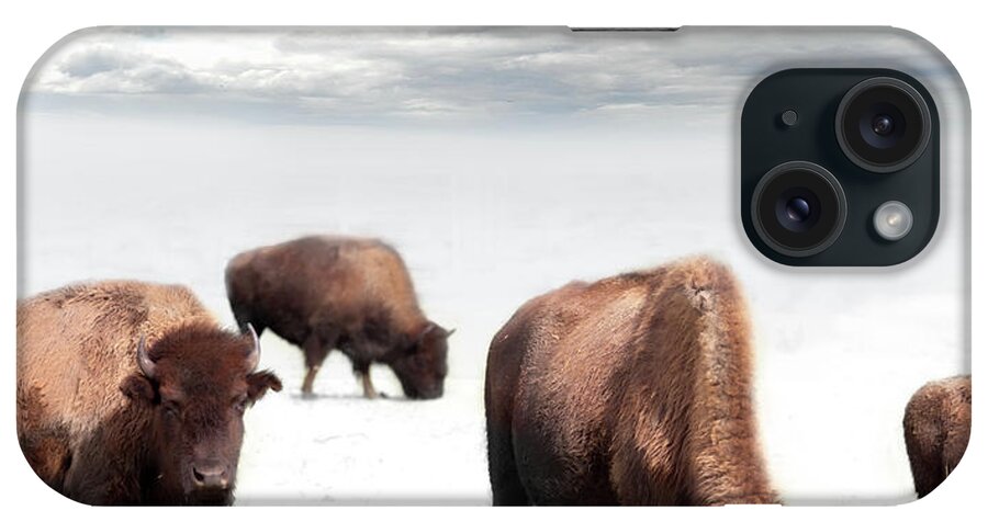 Evie iPhone Case featuring the photograph Grazing Buffalo by Evie Carrier
