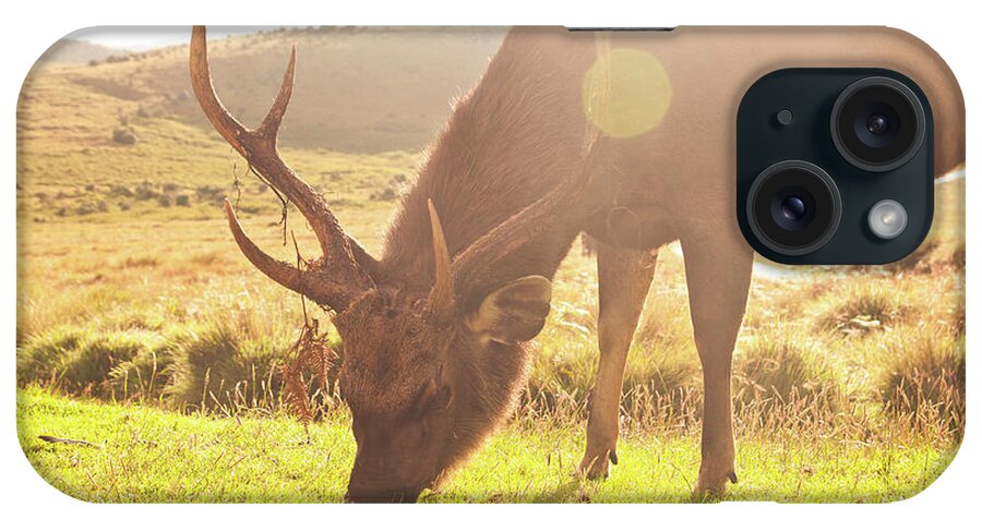 Horned iPhone Case featuring the photograph Grazing Deer by Flash Parker