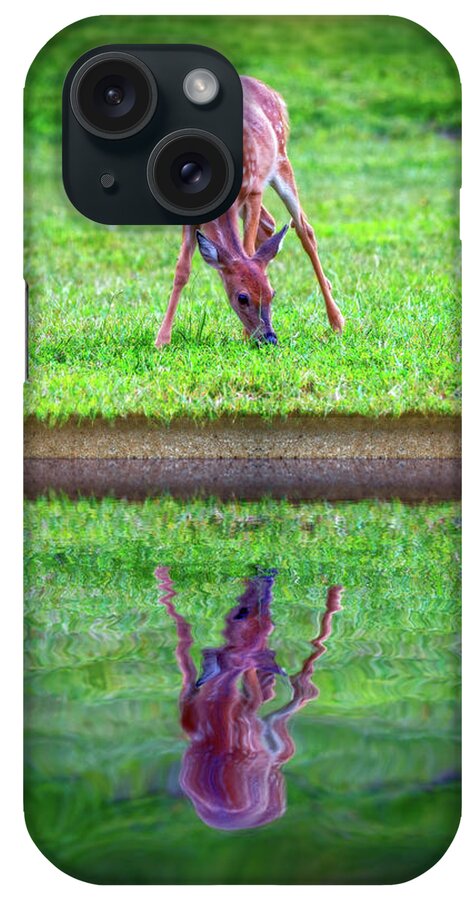 2d iPhone Case featuring the photograph Grazing Reflection by Brian Wallace