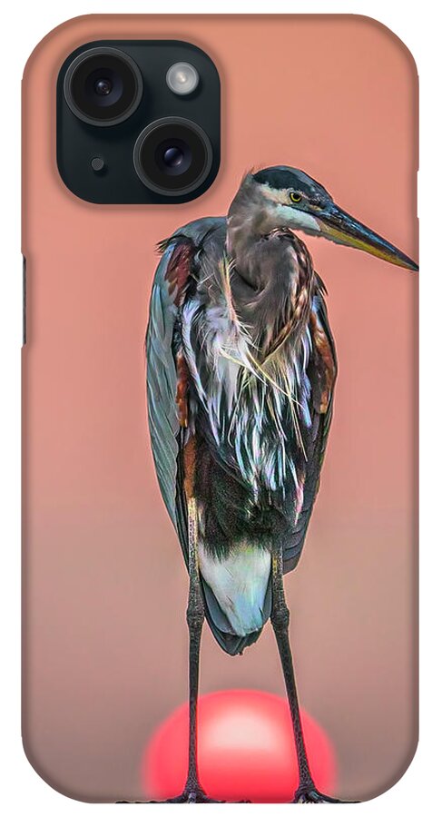 Heron iPhone Case featuring the photograph Great Ball of Fire by JASawyer Imaging