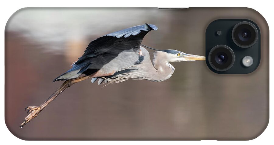 Great Blue Heron iPhone Case featuring the photograph Great Blue Heron 2019-11 by Thomas Young