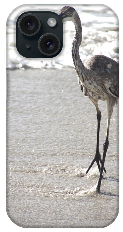 Great Blue Heron Beach 16 1 iPhone Case featuring the photograph Great Blue Heron Beach 16 1 by Robert Michaud