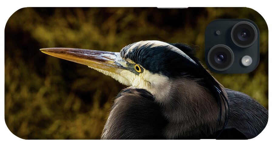 Great Blue Heron iPhone Case featuring the photograph Great Blue Heron by Michelle Pennell