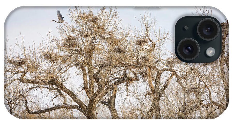 Great Blue Heron iPhone Case featuring the photograph Great Blue Heron Rookery by James BO Insogna
