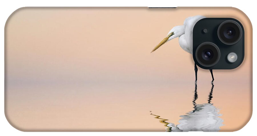 Great Egret iPhone Case featuring the photograph Great Egret Reflecting by Brian Tarr