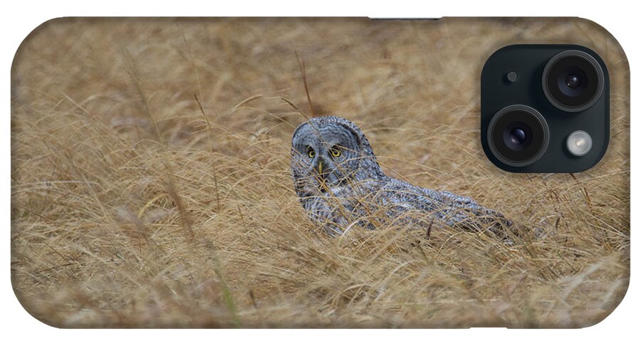 Owl iPhone Case featuring the photograph Great Gray Owl #1 of 5 by Patrick Nowotny