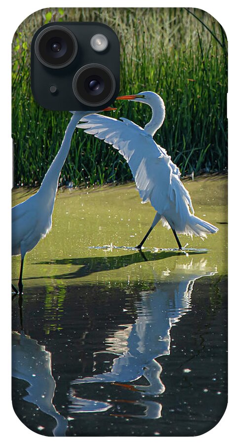 Great White Egret iPhone Case featuring the photograph Great White Egret 10 by Rick Mosher
