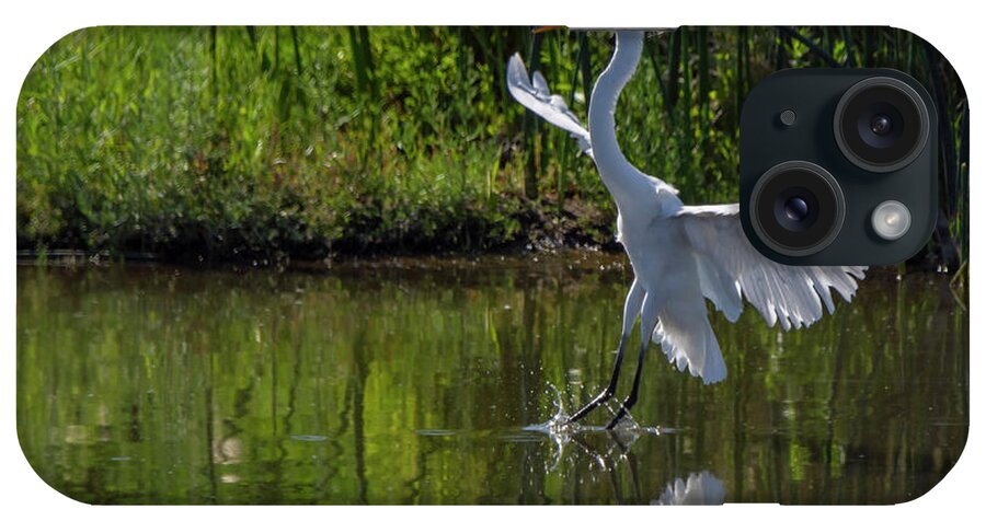 Great White Egret iPhone Case featuring the photograph Great White Egret 5 by Rick Mosher