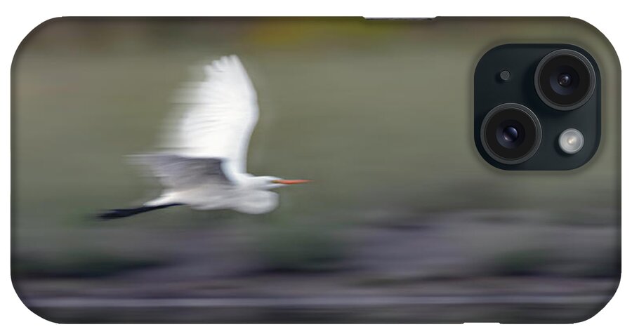 Great White Egret iPhone Case featuring the photograph Great White Egret 7 by Rick Mosher