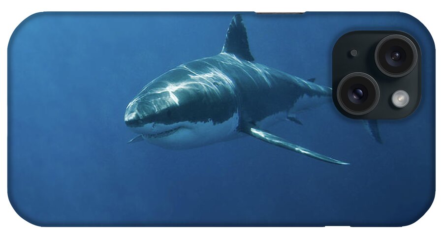 Underwater iPhone Case featuring the photograph Great White Shark by John White Photos