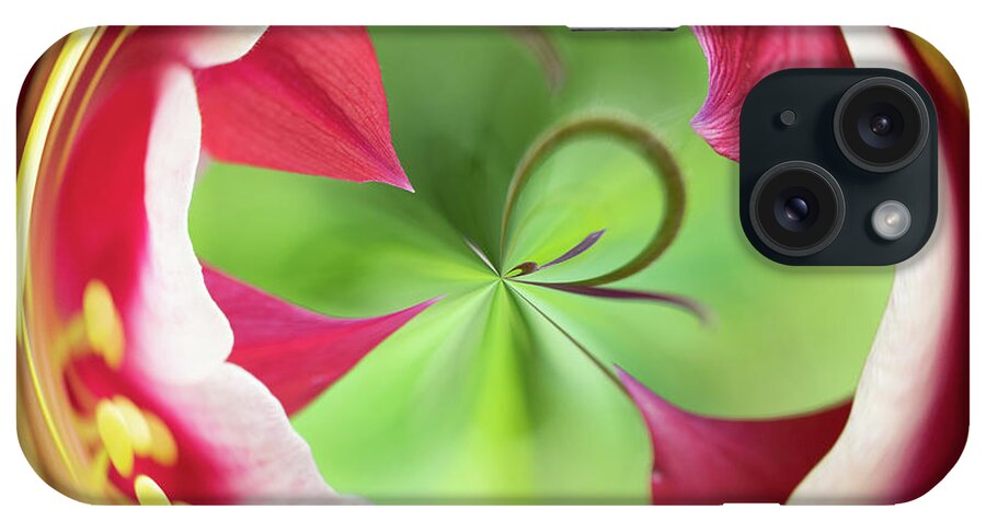 2018 iPhone Case featuring the photograph Green and red flower orb image by Phillip Rubino