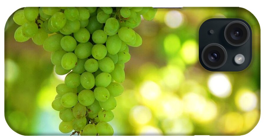 Hanging iPhone Case featuring the photograph Green Grapes by Melindachan