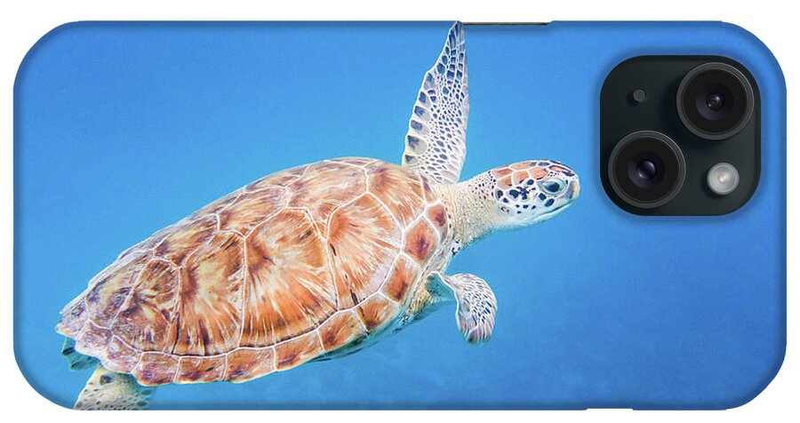 Turtle iPhone Case featuring the photograph Green Sea Turtle swimming by Mark Hunter