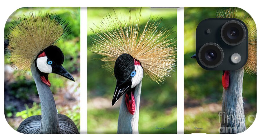 Gulf iPhone Case featuring the photograph Grey Crowned Crane Gulf Shores Al Collage 2 Triptych by Ricardos Creations
