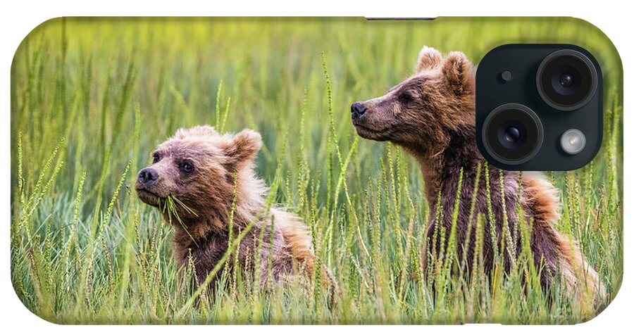 Grizzly iPhone Case featuring the photograph Grizzly cubs by Lyl Dil Creations
