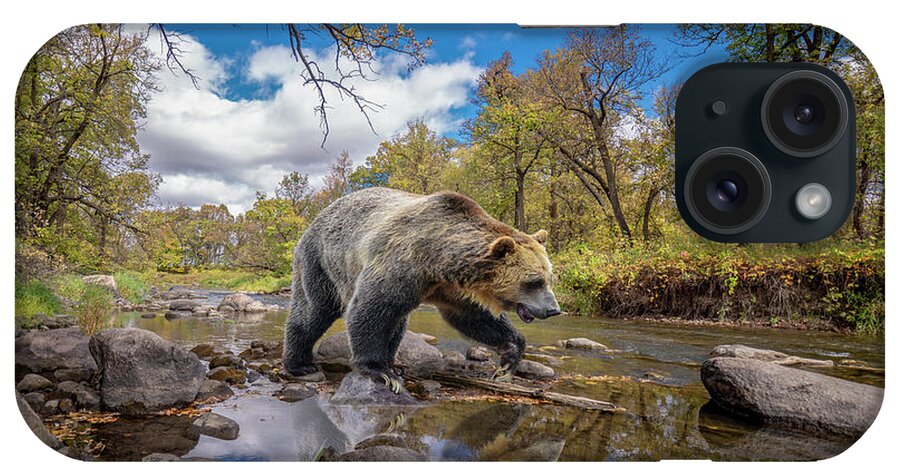 Grizzly Bear Creek iPhone Case featuring the photograph Grizzly Bear Creek by Gordon Semmens