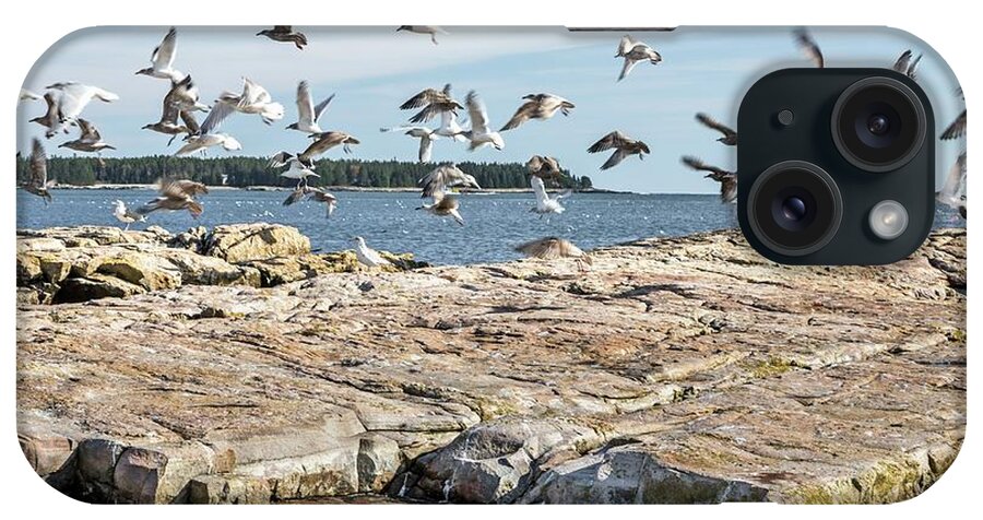 Maine iPhone Case featuring the photograph Gulls by Karin Pinkham